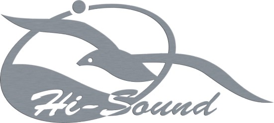 Hangzhou Hisound Electronic Co Ltd