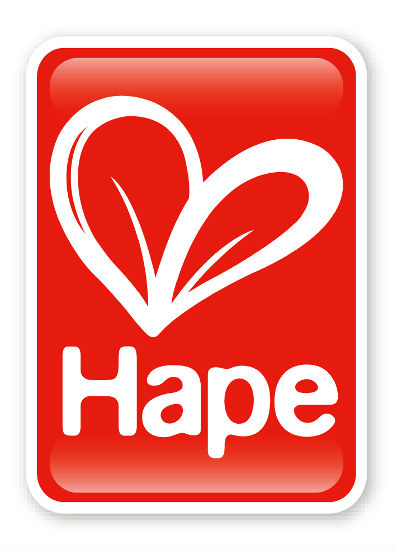 hape cradle