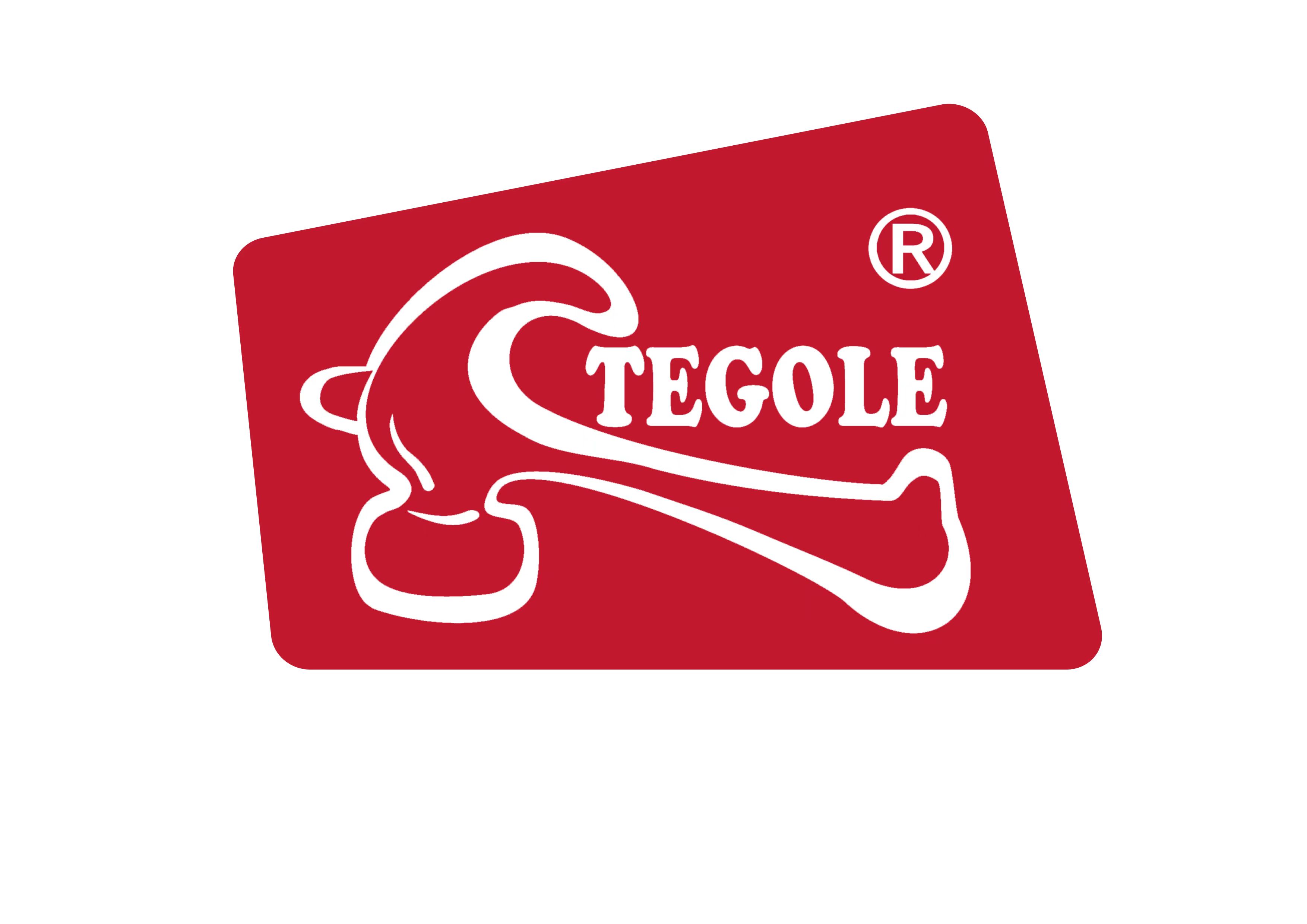 Hong Kong Tegole Toys Industrial Limited