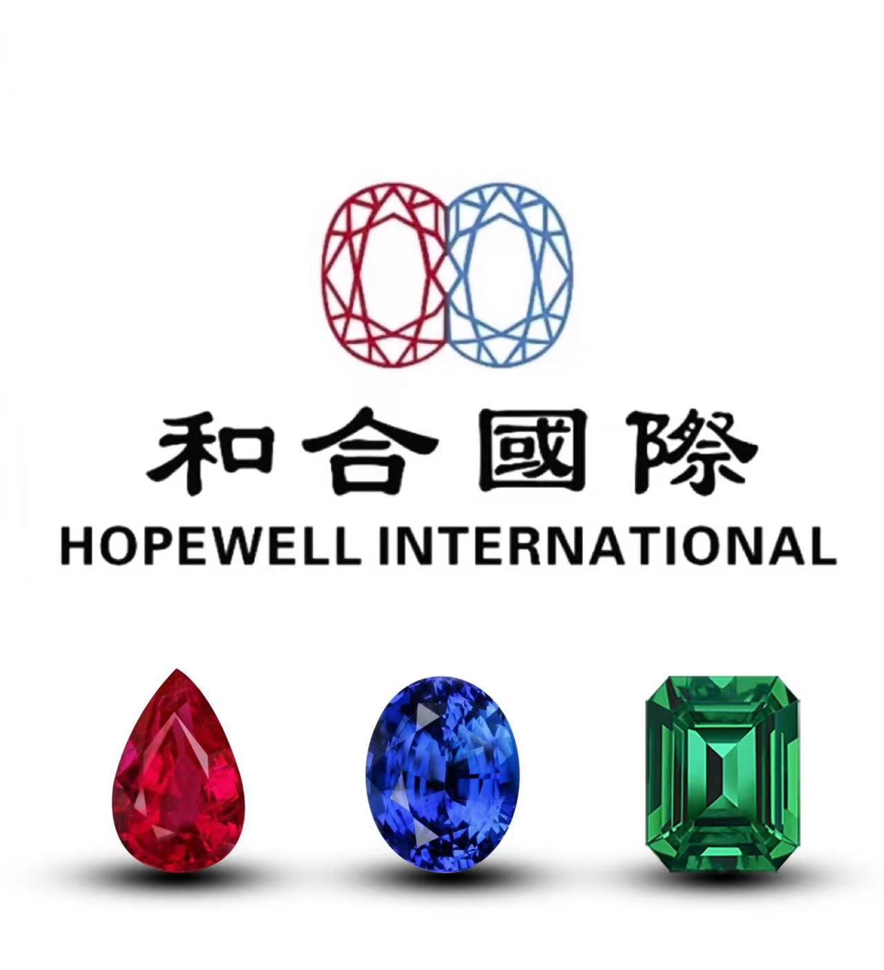 HongKong Hopewell International Supply Chain Company Limited