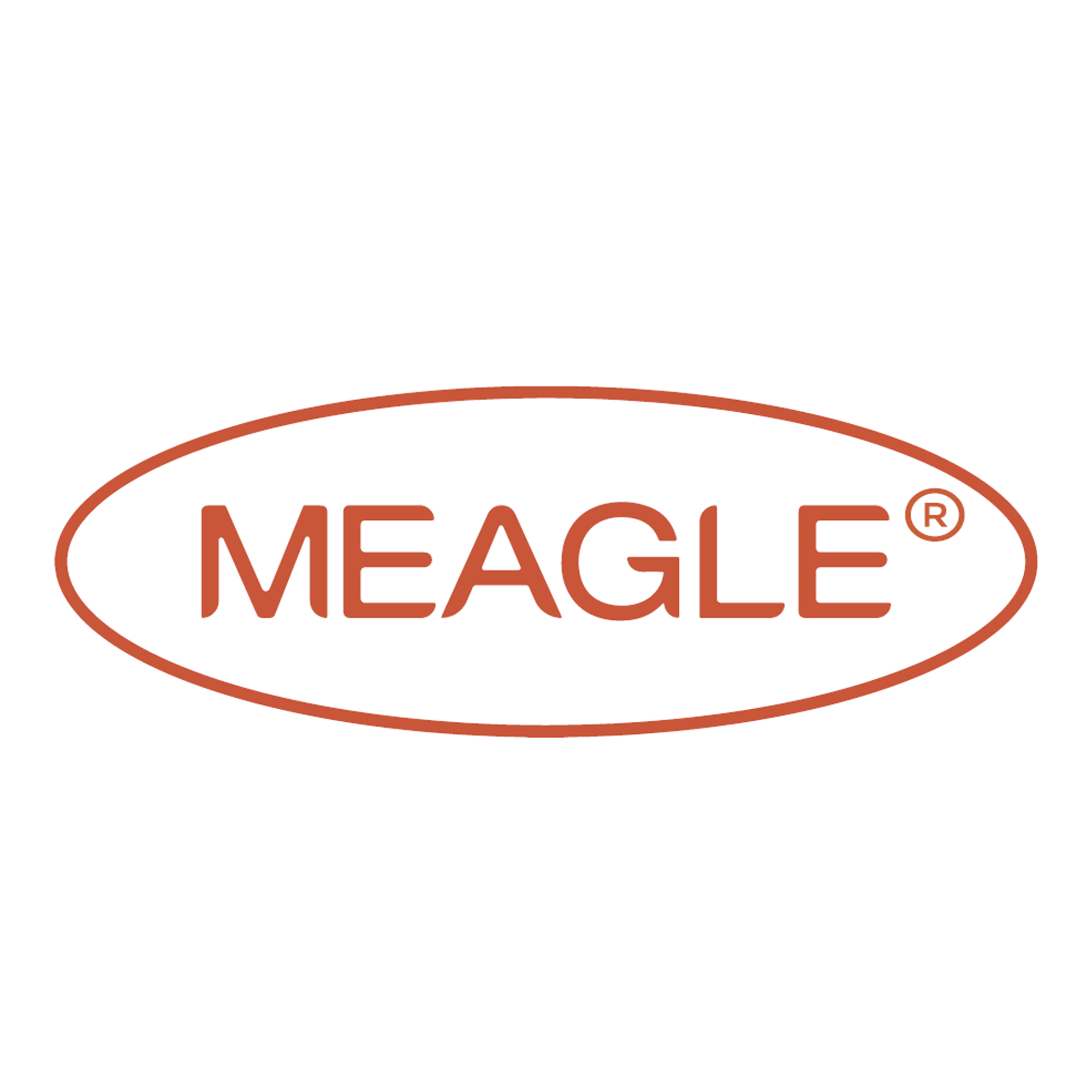 Huizhou Meagle Enterprise Limited