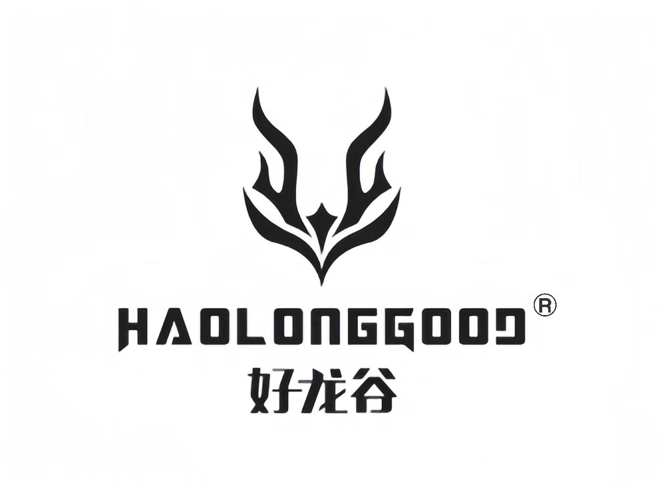 Huizhou Yilonggu Technology Co.,Ltd