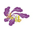 Hung Fook Jade Limited