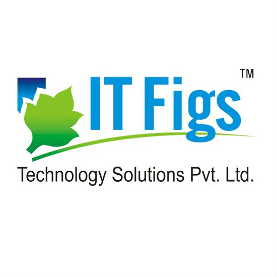 ITFigs Technology Solutions Pvt. Ltd.