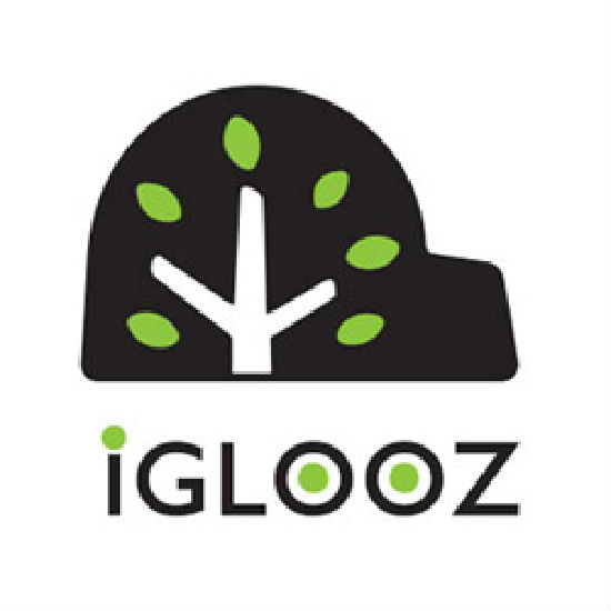 伊古鲁斯有限公司