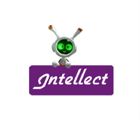 Intellect Co Ltd