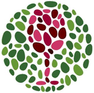 Kespelher Wine Shippers GmbH