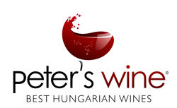 Kolonics Karoly Csaladi Pinceszet