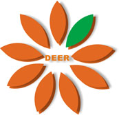 Lewis Young Enterprise