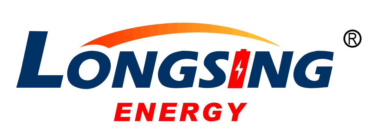 Long Sing Technology Group (Hong Kong) Limited