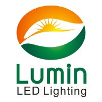 Lumin Group International Limited