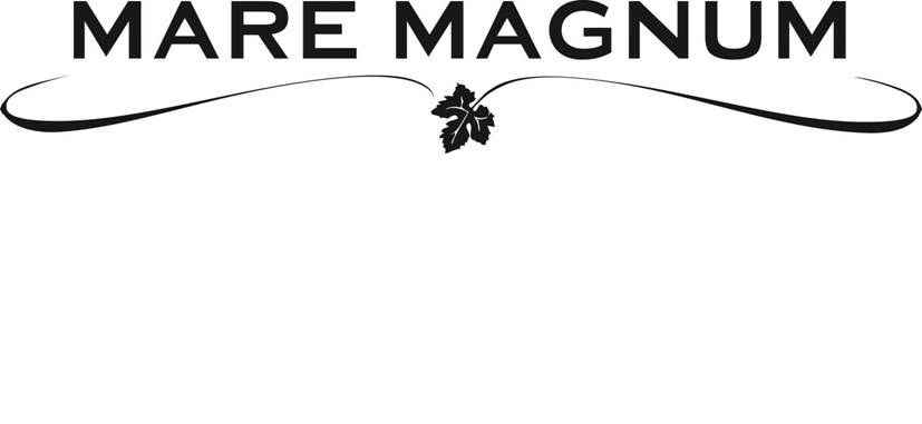 Mare Magnum Srl