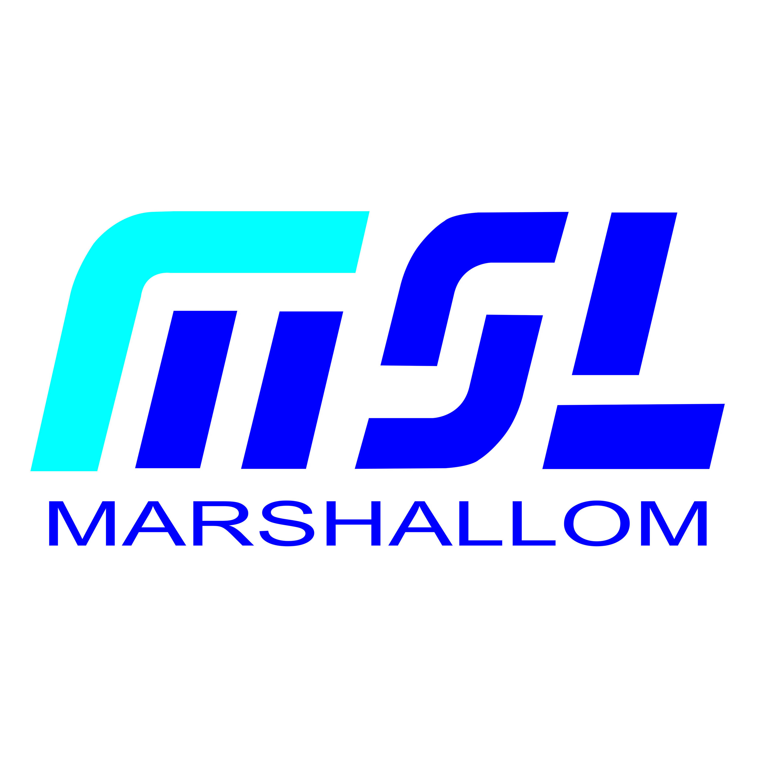 Marshallom (Holdings) Ltd