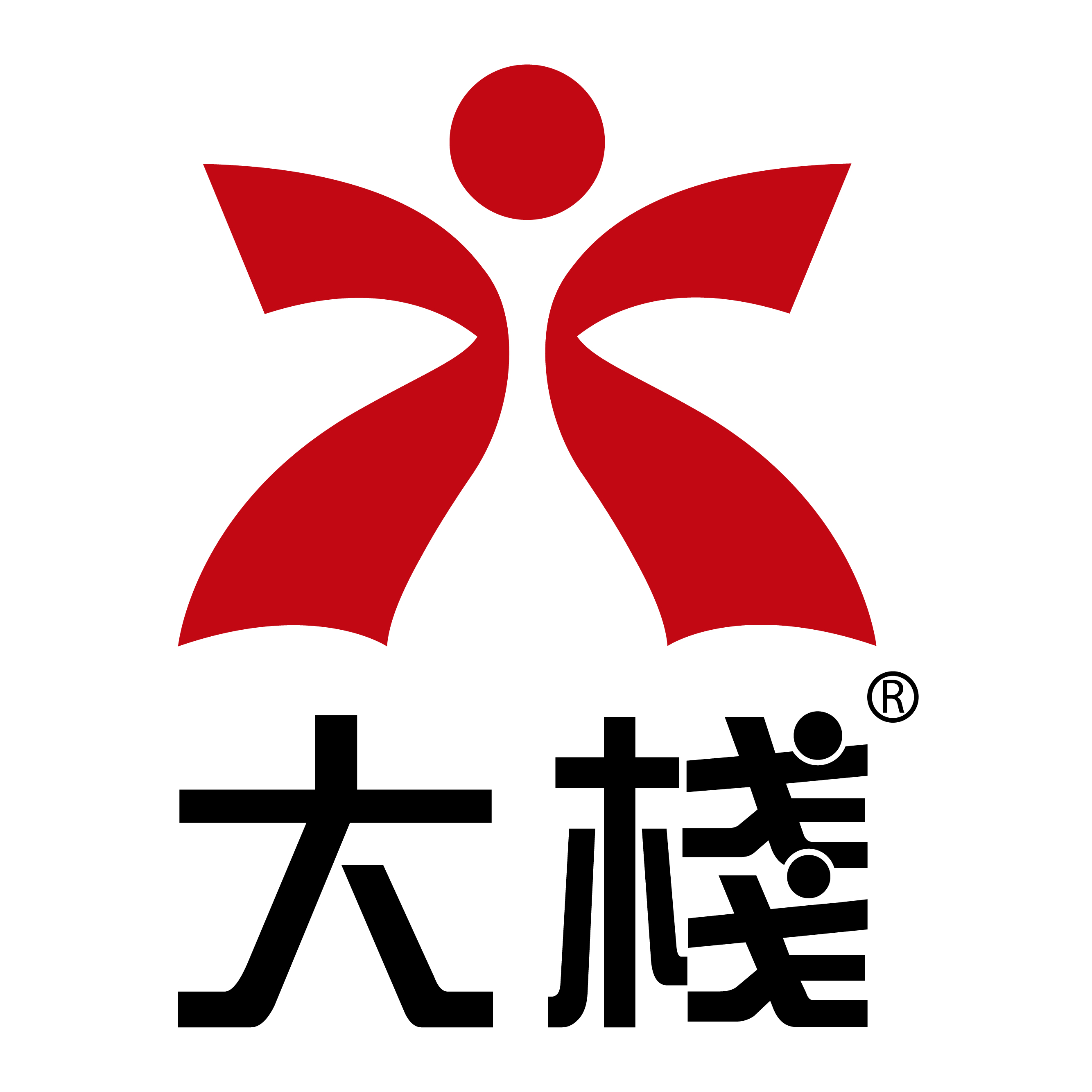 Max Choice Corporation Limited