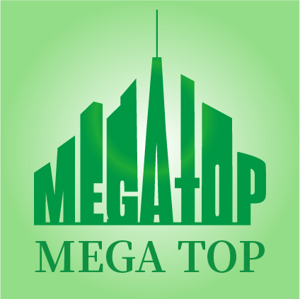 世德国际有限公司