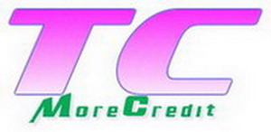 東莞市天晨服裝輔料有限公司