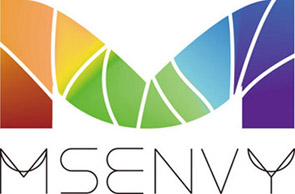 MsEnvy Corporation Limited