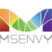 MsEnvy Corporation Limited