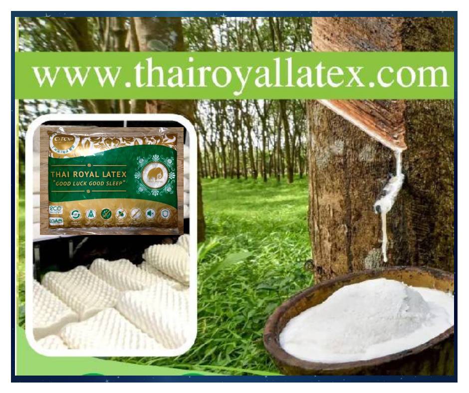 Naga Thai Plus Co., Ltd.