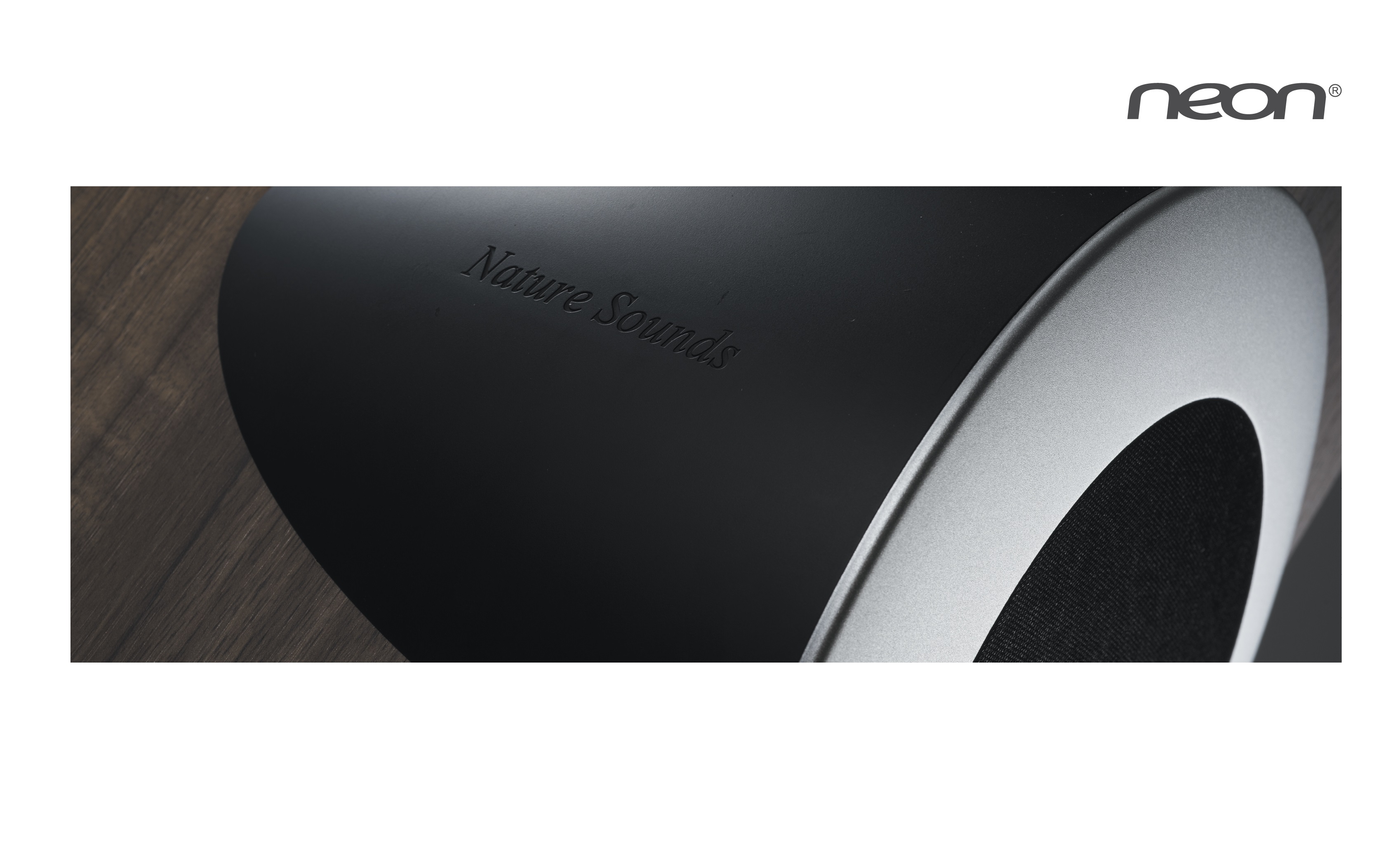 Neon Electronic (HK) Limited