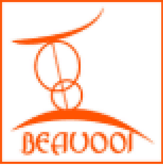 Ningbo Beauooi Electrical Appliance Co Ltd