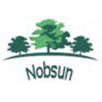 Nobsun Technologies Co Ltd