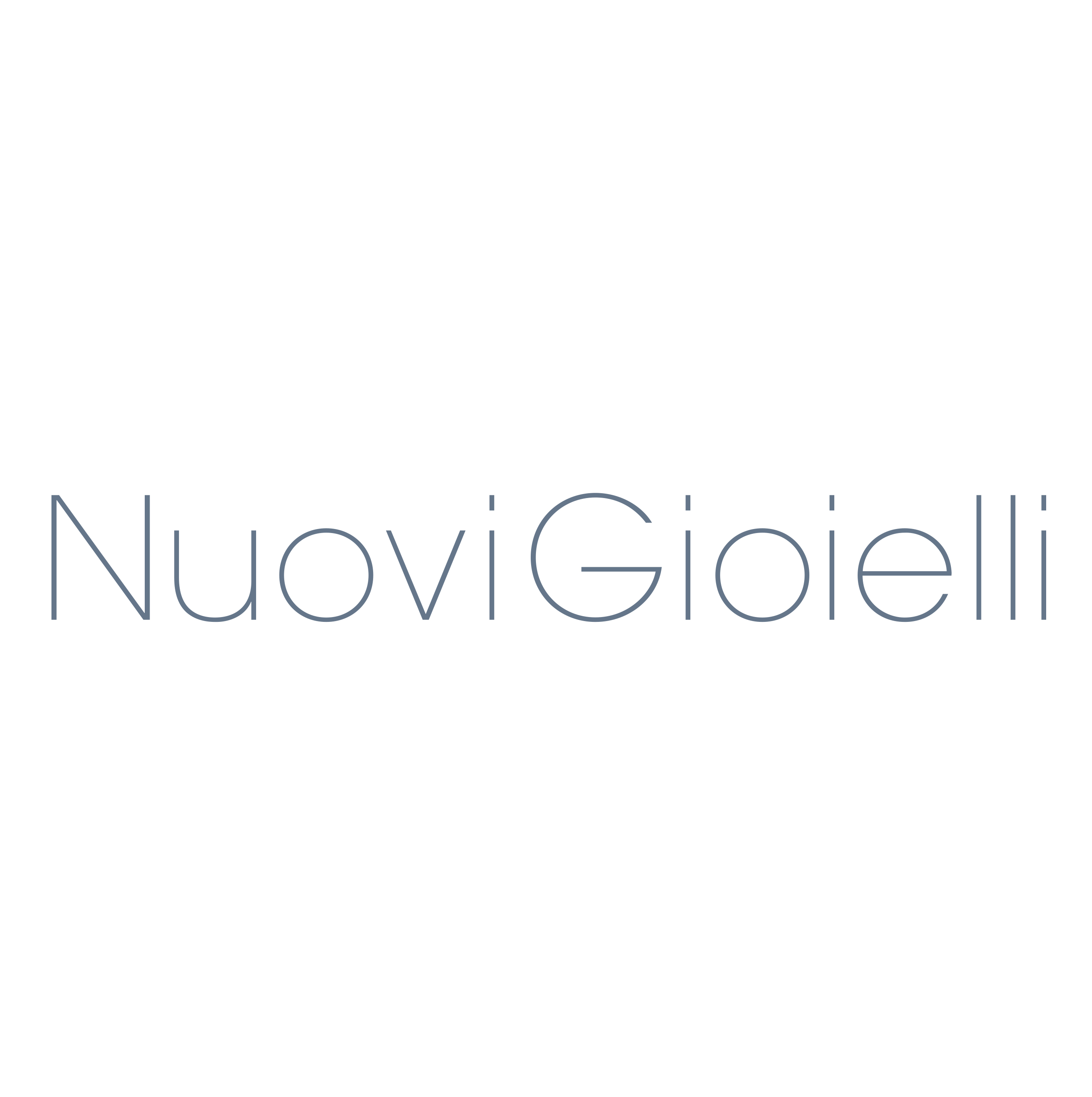 Nuovi Gioielli s.r.l.