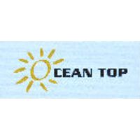 Ocean Top Holdings Limited