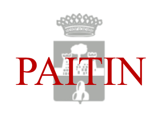 Paitin