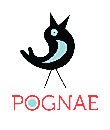 Pognae Company Limited