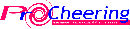 Pro Cheering Co., Ltd.