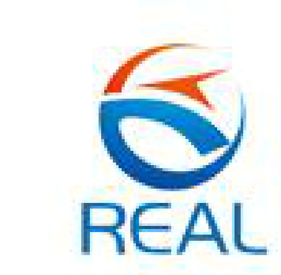 QUANZHOU REAL OPTOELECTRONICS TECHNOLOGY CO LTD