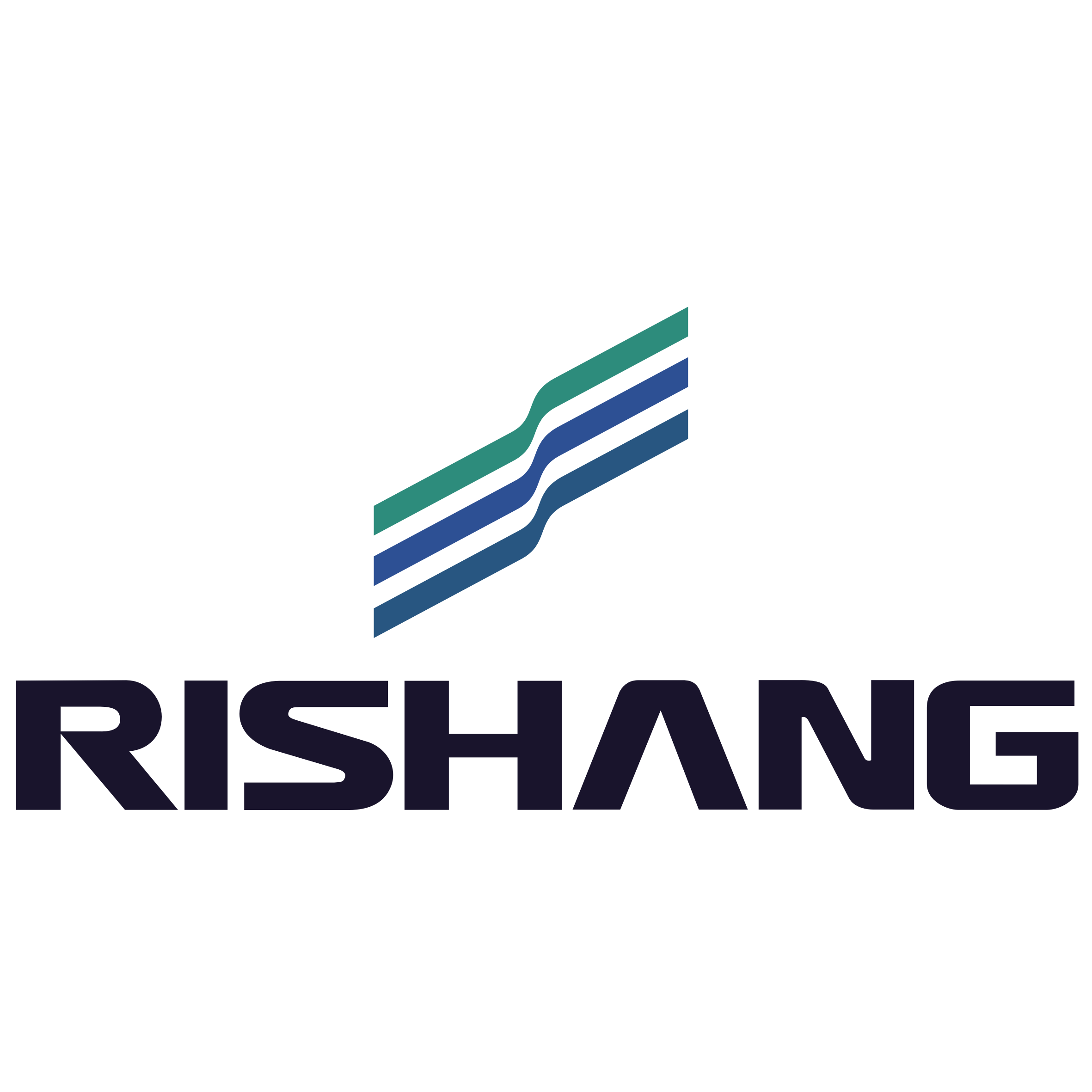 Rishang Optoelectronics Co., Ltd