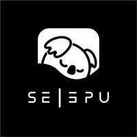 SELEPU TECHNOLOGY LIMITED