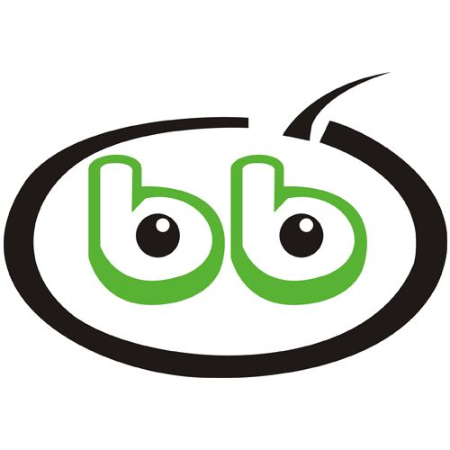 SHENZHEN BBJ TOYS CO.,LTD