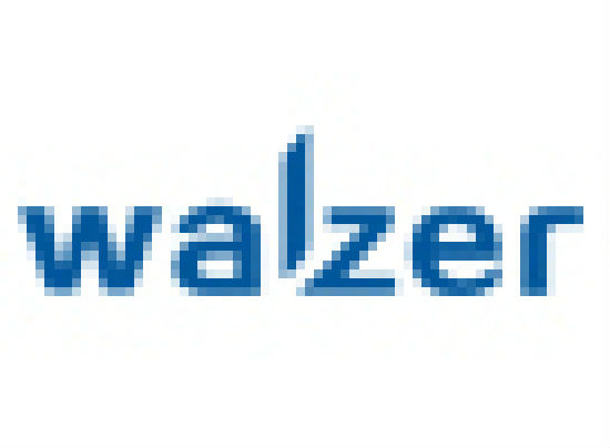 SHENZHEN BLUE STAR EMBLEM ELECTRONICS CO LTD