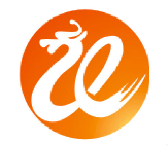 SHENZHEN VEYRON HIGH ELECTRIC APPLIANCE CO LTD