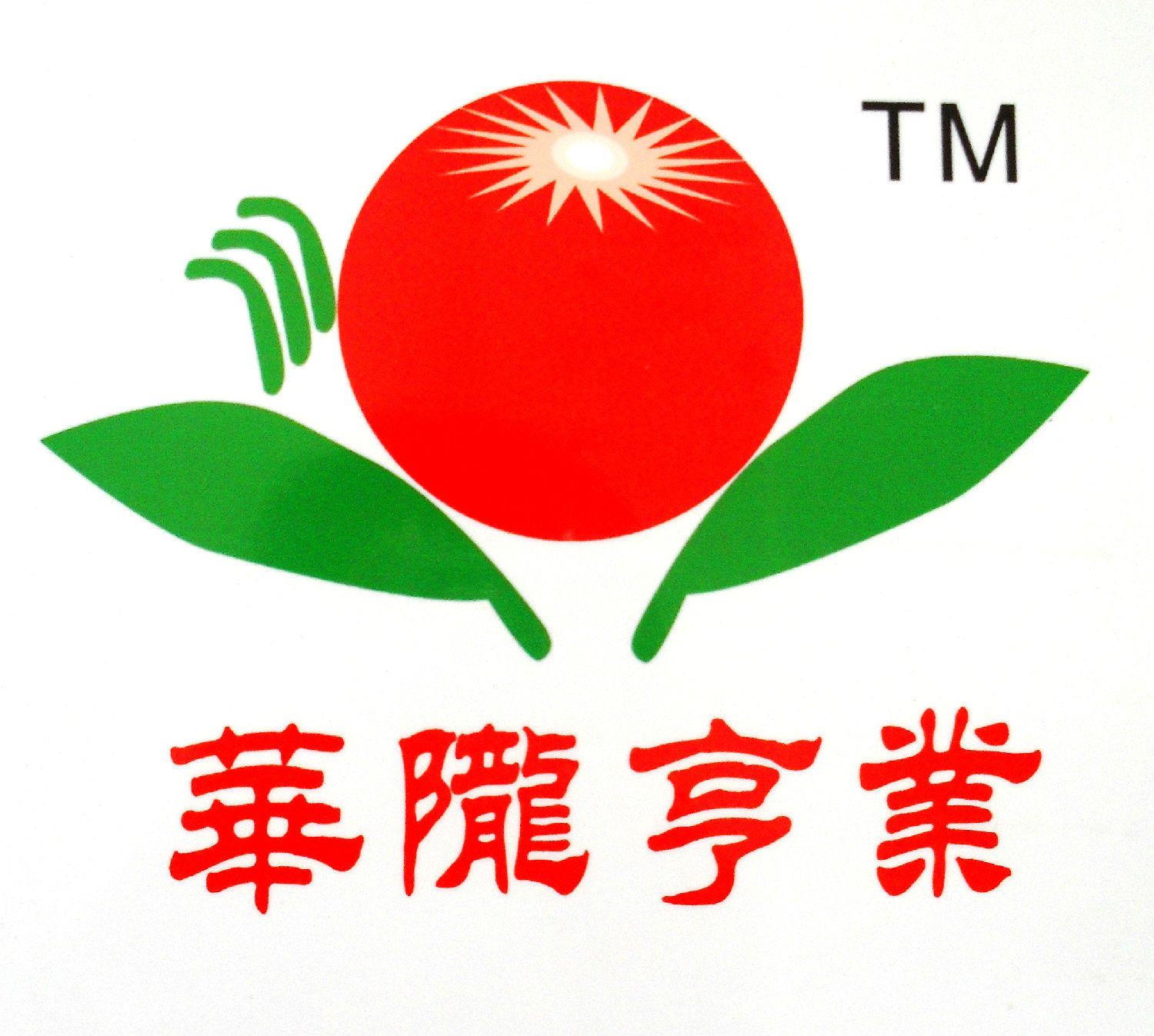 隴南市華龍恒業農產品有限公司