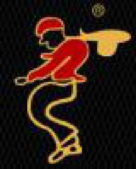 Senchon Garment Enterprises Limited