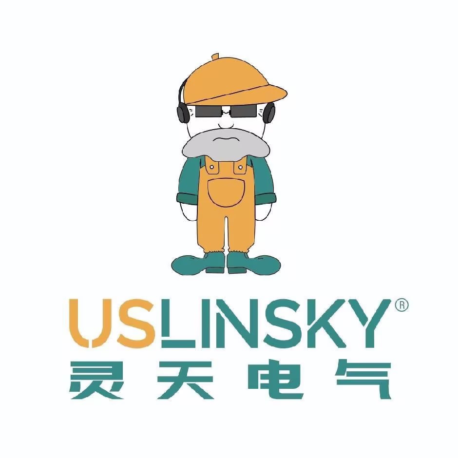 Shanghai Linsky Electrical Co., Ltd.