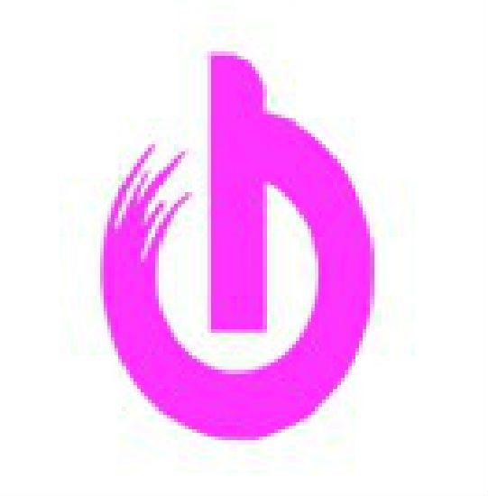 Shenzhen Achepower Electronic Co Ltd