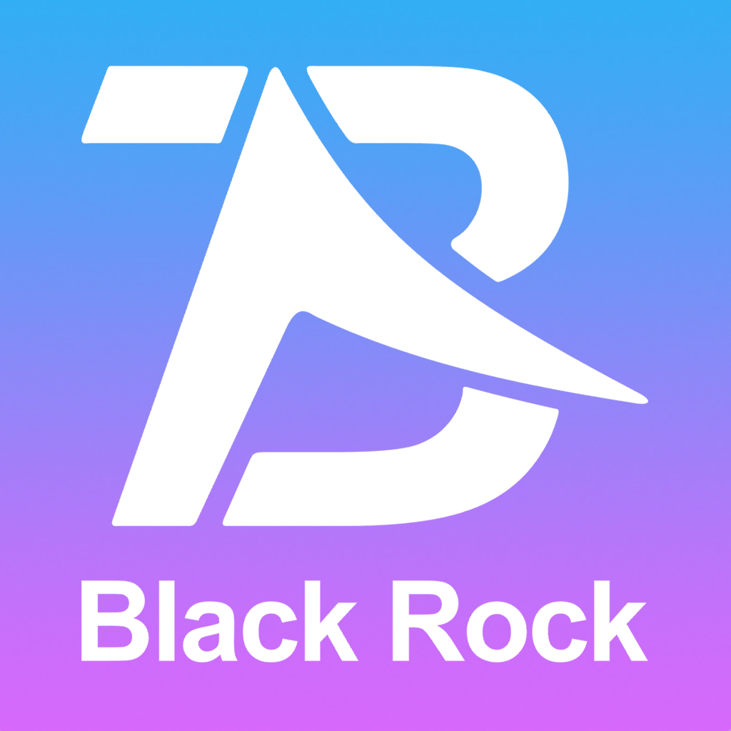 深圳市黑石物联有限公司