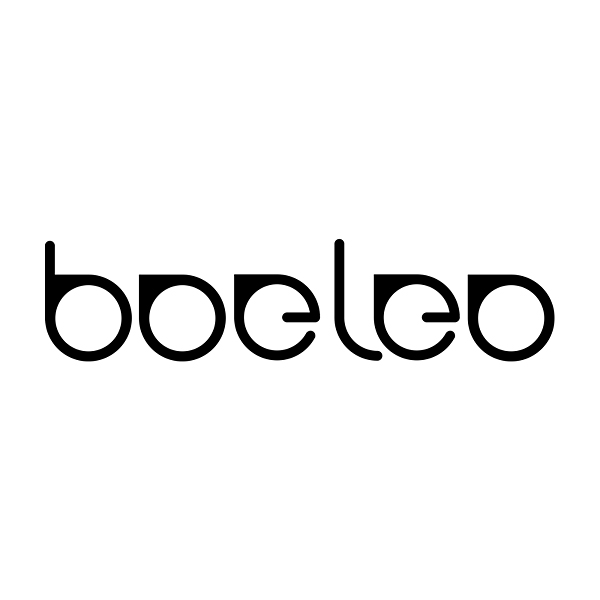 Shenzhen Boeleo Intelligence Co., Ltd.