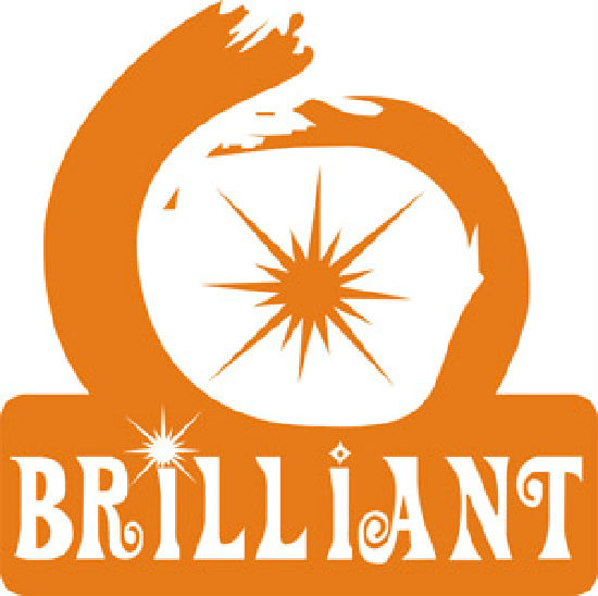 Shenzhen Brilliant Tin Box Manufacturing Co., Ltd