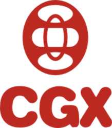 Shenzhen ChengGuangXing Industrial Development Co Ltd