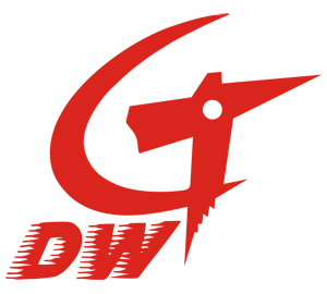 Shenzhen DWG Watch & Clock Co Ltd