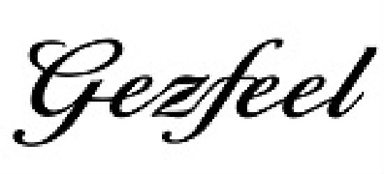 Shenzhen Gezfeel Watch Co Ltd