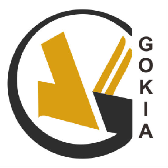 Shenzhen Gokia Technology Co Ltd