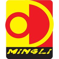 Shenzhen Mingli Toy Making Co., Ltd.