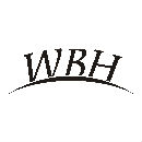 Shenzhen WBH-Light Co.,Ltd